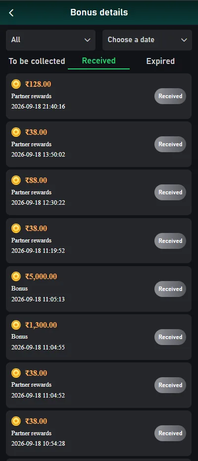 VeerGame bonus details screen showing received bonuses