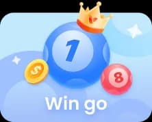 VeerGame Wingo lottery game