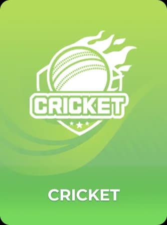 VeerGame Cricket mini game